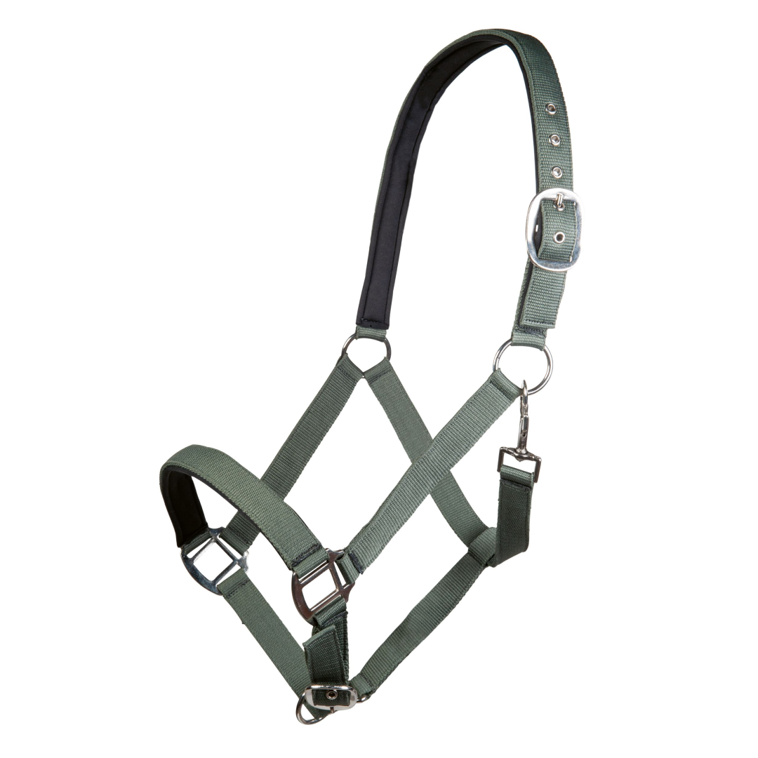 HKM Charming Head Collar #colour_smokey-green