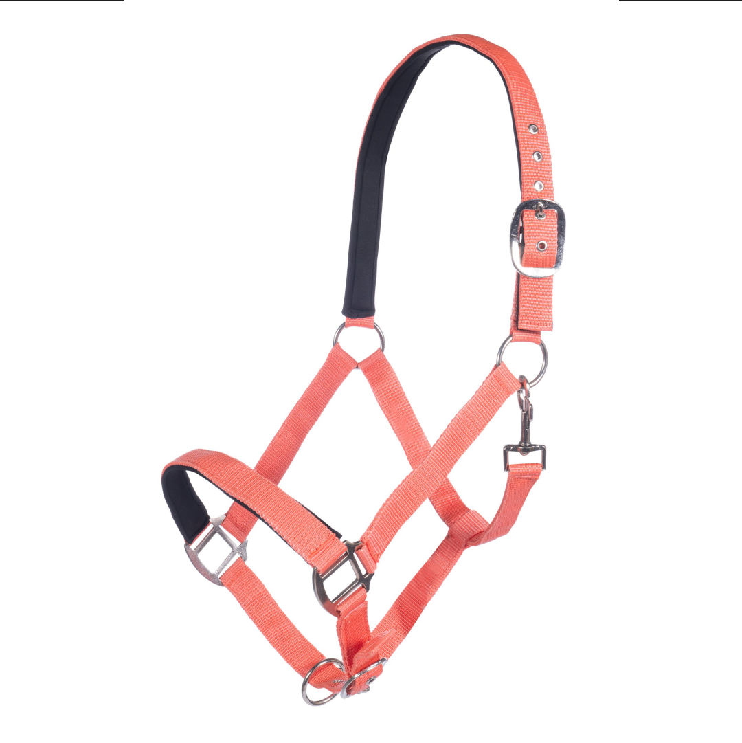HKM Charming Head Collar #colour_coral