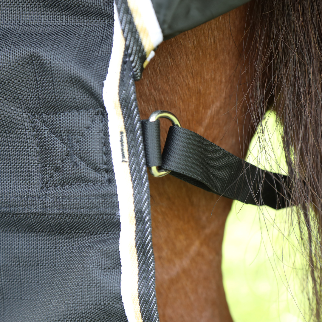 Shires Highlander Plus 200 Turnout Rug #colour_black