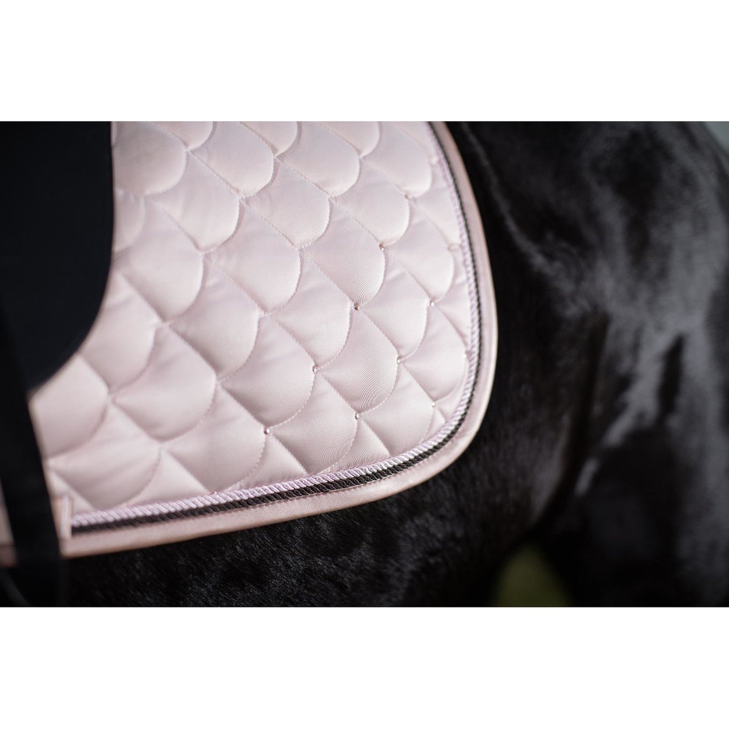 HKM Tapis de selle Cuivre Kiss 7794