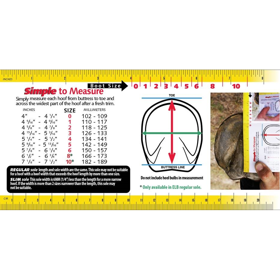 Cavallo Transport Air