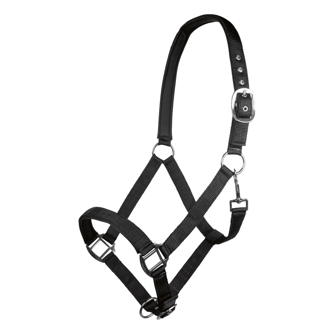 HKM Charming Head Collar #colour_black