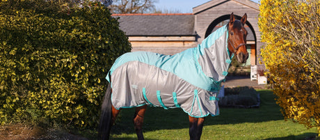 Rain or Shine: 5 Must-Have Horse Essentials for Spring & Summer