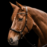 Waldhausen X-Line Sensation Bitless Bridle #colour_black