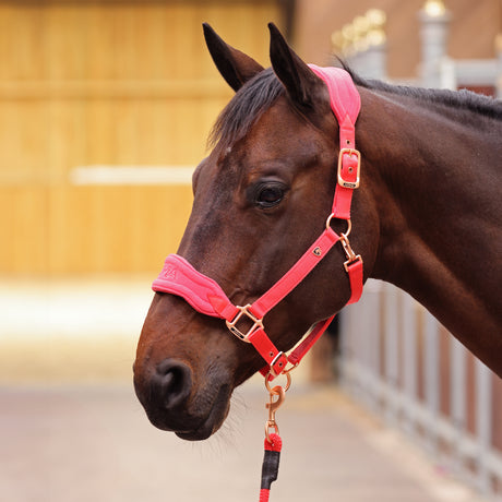 Shires ARMA Comfy Fleece Headcollar & Rope #colour_coral