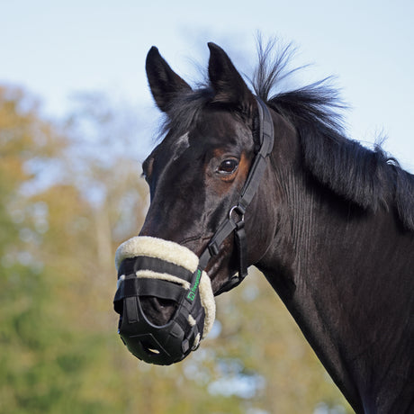 Shires FreeGraze AirFlow Grazing Muzzle #colour_black