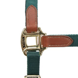 Shires ARMA Porto Headcollar #colour_green