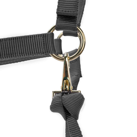 Shires ARMA Premium Adjustable Headcollar #colour_grey