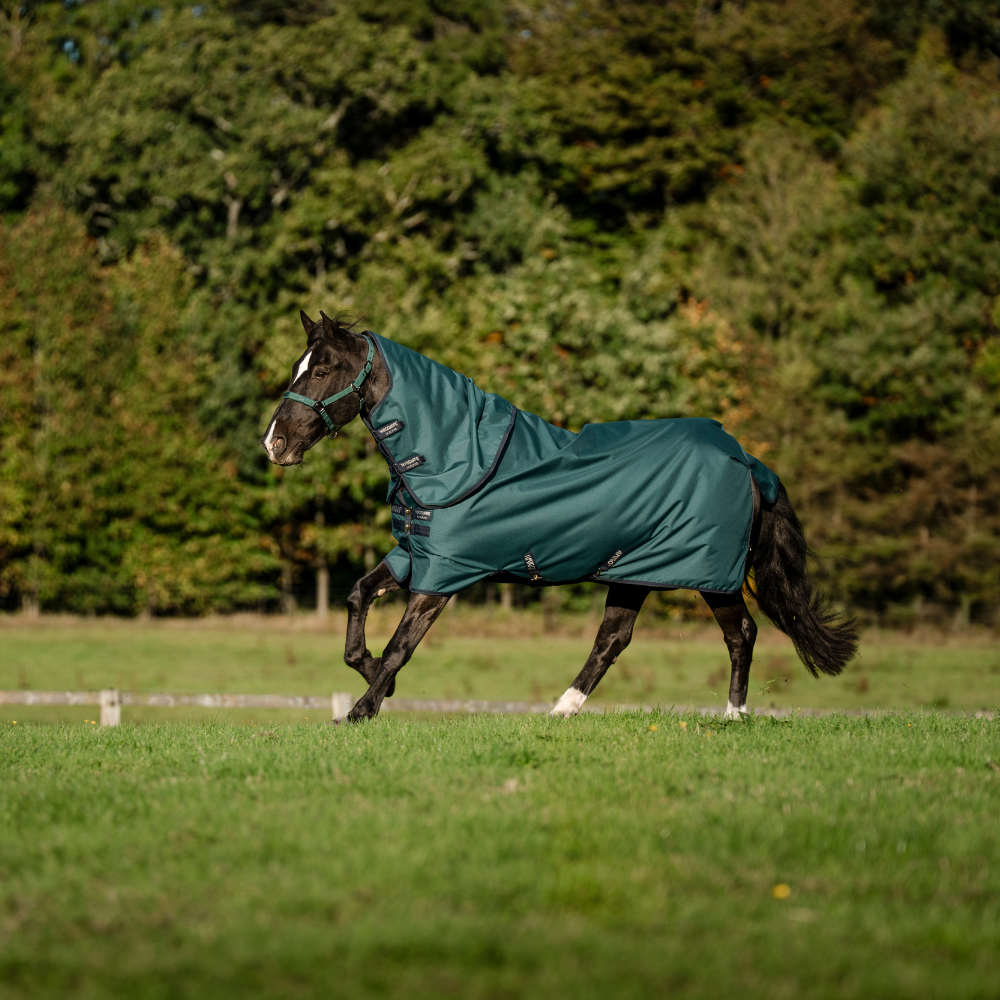 Horseware Ireland Amigo Ripstop 900D Plus 100g Pony Turnout Rug #colour_dynasty-green-navy-silver