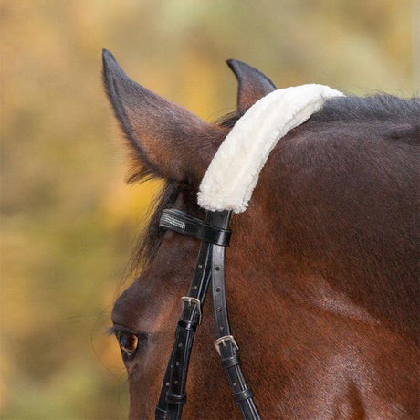 Waldhausen Synthetic Fabric Noseband Cover #colour_cream