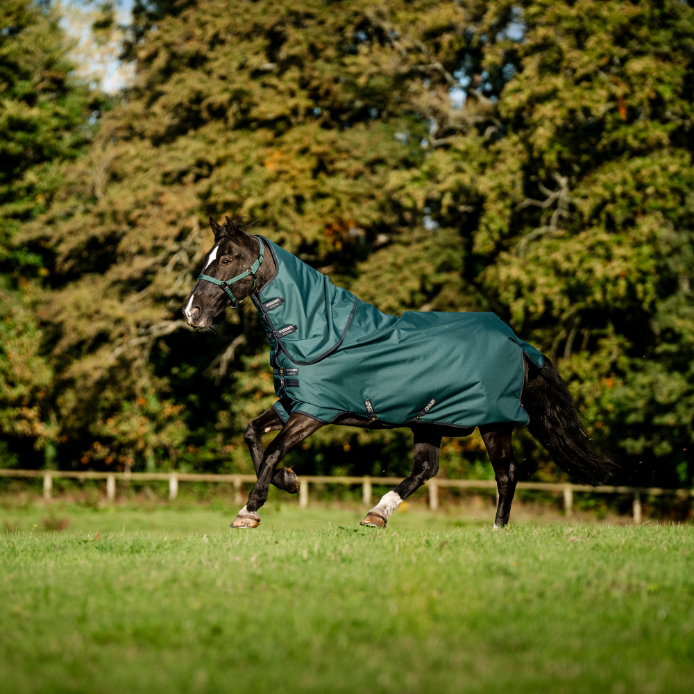 Horseware Ireland Amigo Ripstop 900D Plus 100g Pony Turnout Rug #colour_dynasty-green-navy-silver