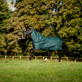 Horseware Ireland Amigo Ripstop 900D Plus 100g Pony Turnout Rug #colour_dynasty-green-navy-silver