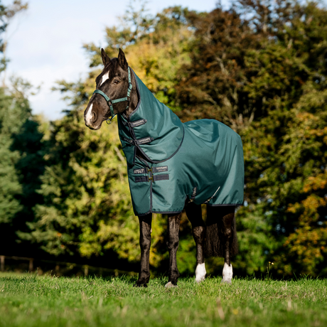 Horseware Ireland Amigo Ripstop 900D Plus 100g Pony Turnout Rug #colour_dynasty-green-navy-silver
