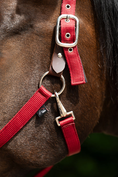 HKM Head Collar -Breakaway 2- #colour_red