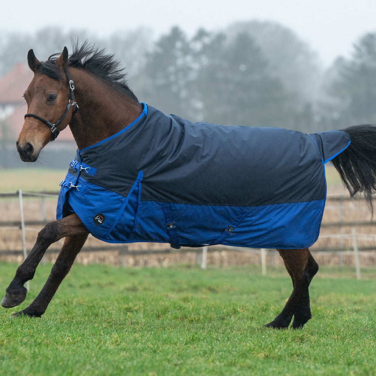 HKM 600D Fleece Lined Turnout Rug -Chester- #colour_navy-blue