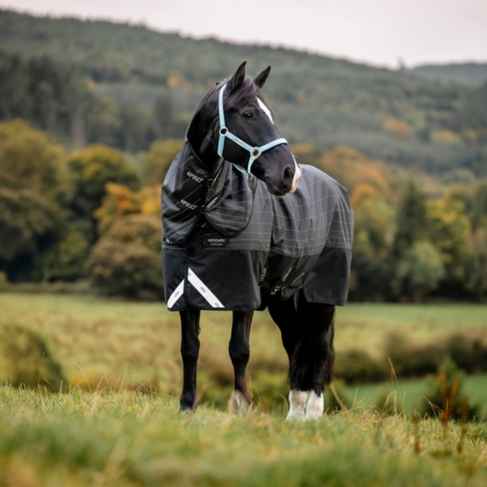 Horseware Ireland Amigo 1200D FieldSafe Reflectech Plus 100g Turnout Rug #colour_black-reflective-black