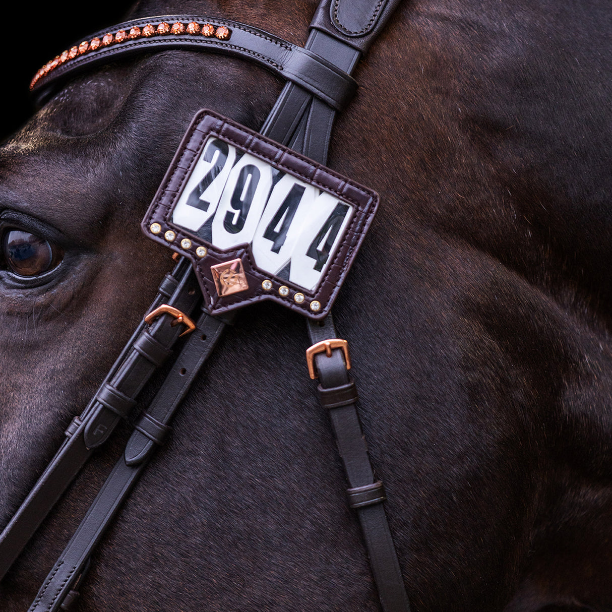 Imperial Riding Show and Glow Competition Number #colour_brown-brown-croco