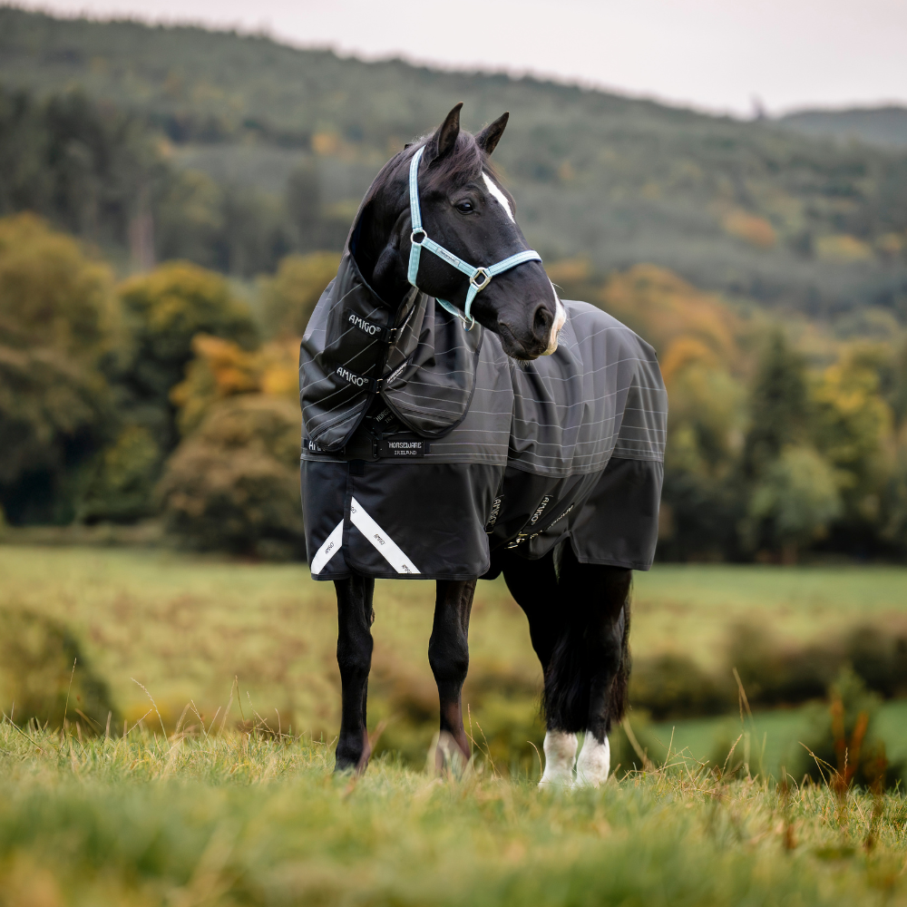 Horseware Ireland Amigo 1200D FieldSafe Reflectech Plus 50g Turnout Rug #colour_black-reflective-black