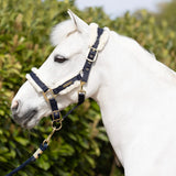 Coldstream Langlee Luxury Head Collar & Lead Rope #colour_navy