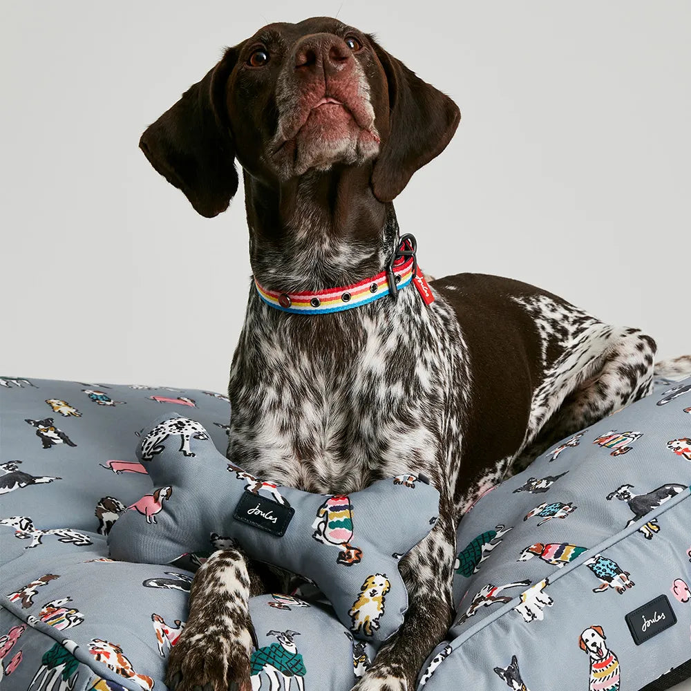 Joules Rainbow Dogs Mattress #colour_grey-dog-print