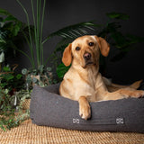 Scruffs Eco Eden Box Bed #colour_charcoal