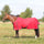 HyCONIC 100g Turnout Rug #colour-red/charcoal