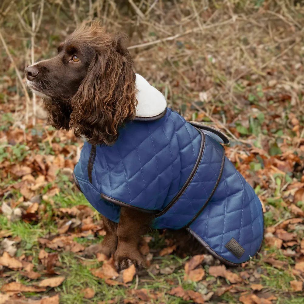 Benji & Flo Teddy Quilted Dog Coat