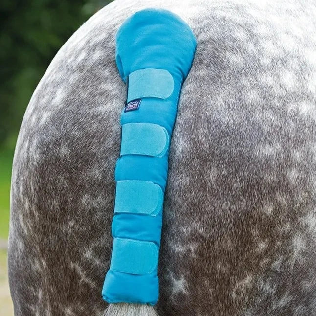 Shires ARMA Padded Tail Guard #colour_bright-blue