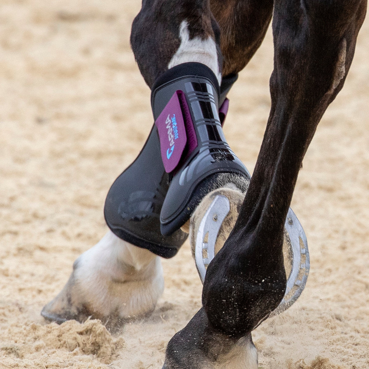 Shires ARMA Tendon Boots #colour_black-plum