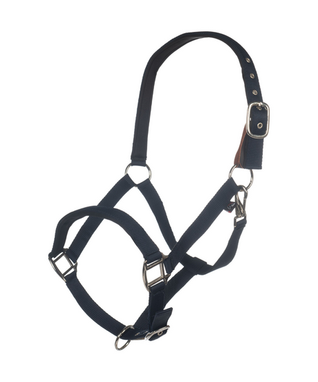 HKM Head Collar -Breakaway 2- #colour_deep-blue