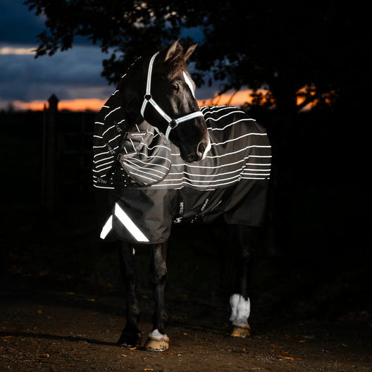 Horseware Ireland Amigo 1200D FieldSafe Reflectech Plus 100g Turnout Rug #colour_black-reflective-black