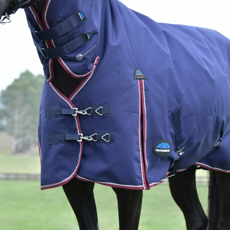 Weatherbeeta Comfitec Essential 220G Combo Turnout #colour_navy-burgundy