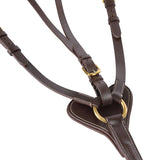 #colour_australian-nut