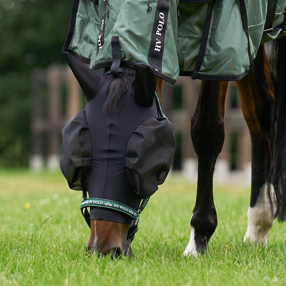 HV Polo Nena Fly Mask #colour_black