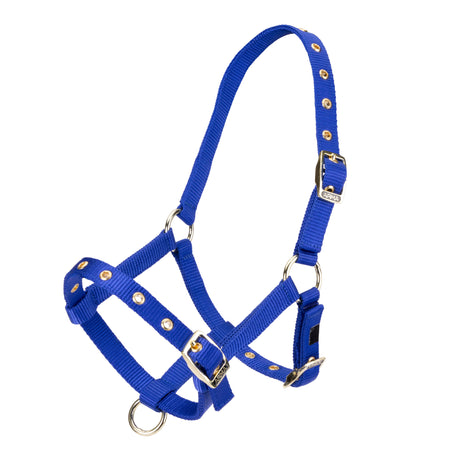 Licol en nylon pour poulain Shires