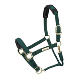 Licol Shires Topaz en nylon