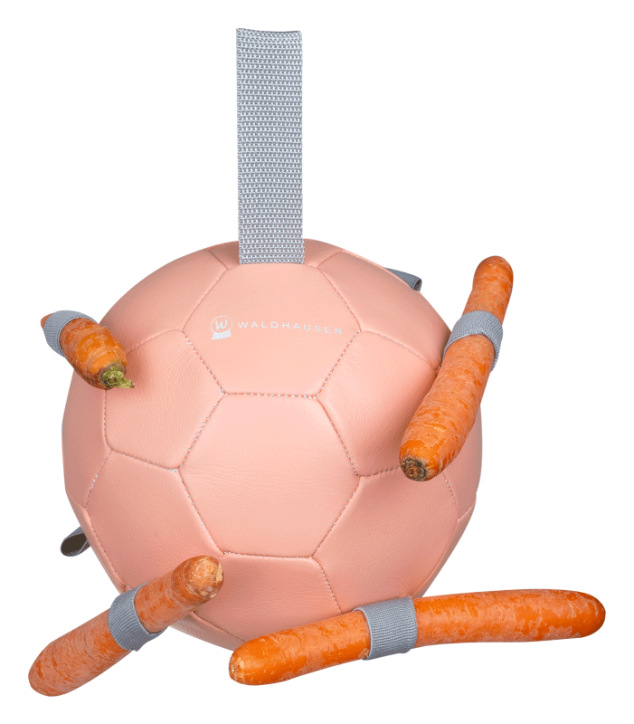 Waldhausen Carrot Ball #colour_linnea-pink