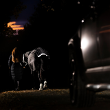 Horseware Ireland Amigo 1200D FieldSafe Reflectech Plus 50g Turnout Rug #colour_black-reflective-black