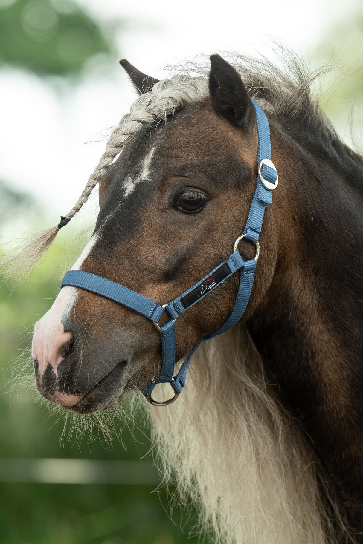 HKM Head Collar for Mini-Shetty #colour_smokey-blue