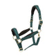 Shires ARMA Padded Headcollar #colour_green