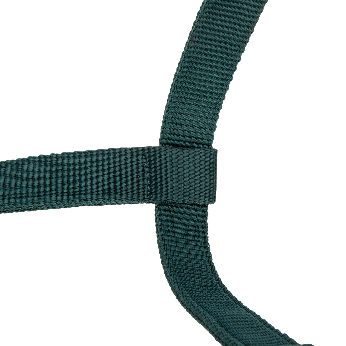 Shires ARMA Padded Headcollar #colour_green