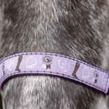 Giddy Up Gymkhana Head Collar & Lead Rope Set by Little Rider