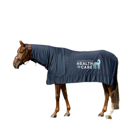 Waldhausen Health & Care Ice Layer Neck Part #colour_night-blue