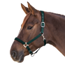 Waldhausen Satin Perlon Halter #colour_fir-green