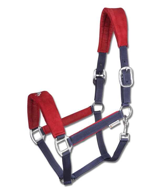 Waldhausen Hellnar Icelandic Halter #colour_navy-red