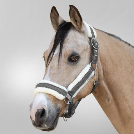 Waldhausen Sparkle Halter #colour_grey