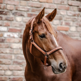 Waldhausen Athletic Halter #colour_cinnamon