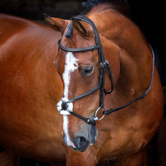 Shires Velociti RAPIDA Grackle Bridle #colour_black