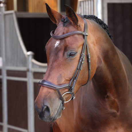 Shires Velociti LUSSO Elite Ergonomic Flash Bridle