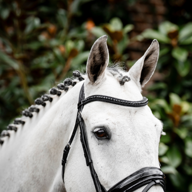 Horseware Ireland Diamante Flash Bridle #colour_black-black